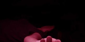 হরিয়ানায় ভাই-স্ত্রী-ভাইপোকে খুন দাদার Grandfather killed brother wife nephew in Haryana