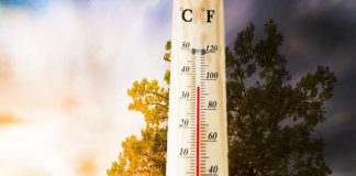 Hot in south including Calcutta heavy rain in 5 northern districts