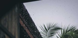 Rain will continue in South Bengal windy