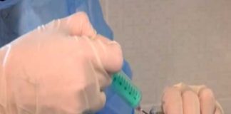 প্রথমবার মানুষকে বার্ড ফ্লু টিকা ফিনল্যান্ড-র Bird flu vaccine for the first time in Finland