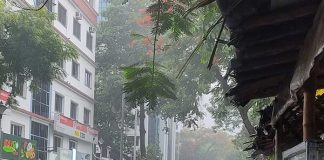 সাগরে নিম্নচাপ, কলকাতায় ঝমঝমিয়ে বৃষ্টি Low pressure in the ocean light rain in Kolkata