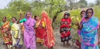 ম্যানগ্রোভের পরিবর্তে ভাঙা ডাল, বিক্ষোভ MANGROV PORIBORTE VANGA DAL BIKKHOV