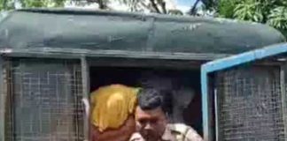 জয়ন্তর ক্লাবে নাবালককে সাঁড়াশি অত্যাচার, অভিযুক্তর জামিন Eighty six rapes of minors at Jayantar Club accused granted bail