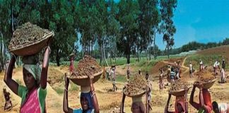 একাধিক রাজ্যে ১০০ দিনের কাজের টাকা নয়ছয় Many states are charging 100 days of work