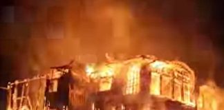 Rats behind the fire at Halong Bungalow