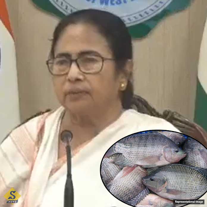 TILAPIA MACHH NIRVOYE KHAN BOLCHHEN CM