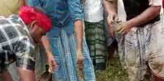 The second post mortem of the youth of Dholahat
