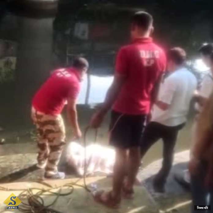 Young woman drowned alive in Regents Park