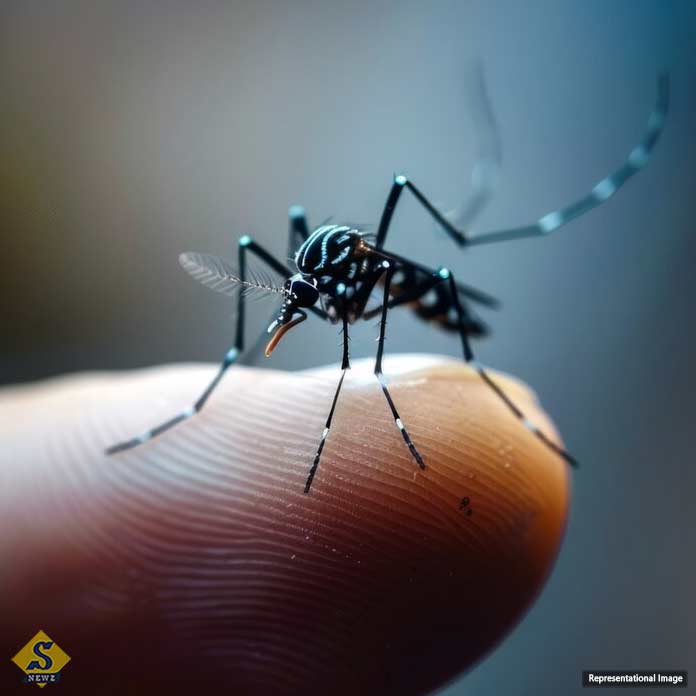 kolkata dengue kolkata dengue