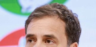 Freedom is the biggest shield Rahuls message to the countrymen