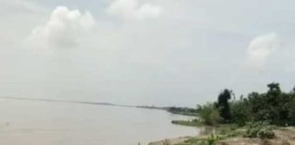 মালদায় গঙ্গা ভাঙন, আতঙ্কে স্থানীয়রা Malda Ganges Erosion Locals in Fear