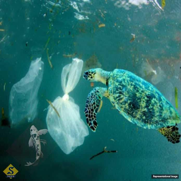 Motion of microplastics in water in high speed cameras