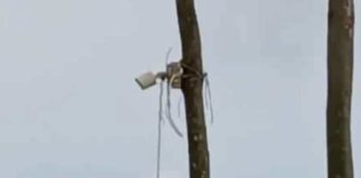 simante night vision camera