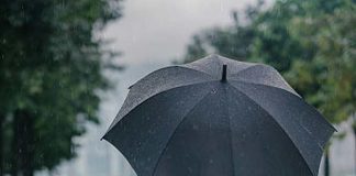 sukro baar e kolkata soho dakshin bonge bikhhipto bristir sombovona