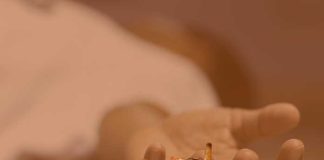 ইসরায়েলে ওয়েস্ট নাইল ভাইরাসে মৃত ৭০