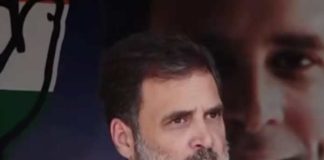 দেশের কর্মসংস্থান শেষ করেছেন মোদী : রাহুল