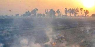 দূষণ : কেন্দ্রকে ভর্ৎসনা কোর্টের, ধৃত ১৪ কৃষক