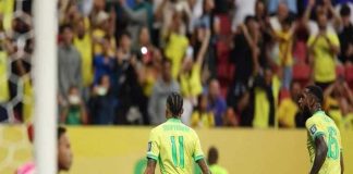 পেরুকে উড়িয়ে দুর্দান্ত জয় ব্রাজিলের