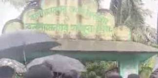 পাথরপ্রতিমায় মৃত যুবক, দানা’য় মৃত ১