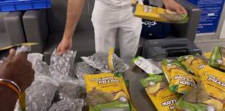 দিল্লি এয়ারপোর্টে ১৫ কোটির মাদক উদ্ধার, আটক যুবতী