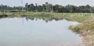 পঞ্চমীর দিন পুকুরে স্নানে নেমে মৃত ৩