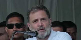 ওয়েনাড়ে ২ জন সাংসদ থাকবে : রাহুল