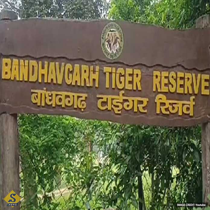Death-of-elephant-in-Bandhavgarh,-suspend-2-officials