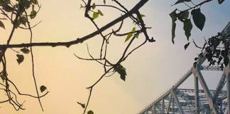অবাধ উত্তুরে হাওয়া, কলকাতার পারদ ১৯