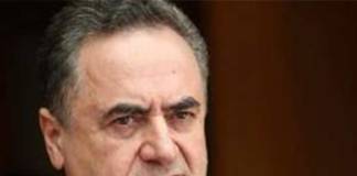 ইজরায়েলের নতুন প্রতিরক্ষামন্ত্রী হলেন কাটজ