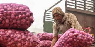 নাসিকে ৮০, দেশে সেঞ্চুরির পথে পেঁয়াজ