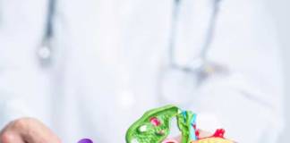 পুরুষদের অগ্ন্যাশয়ের ক্যানসার বাড়ছে Pancreatic cancer