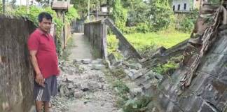 চাবাগানের নালায় পড়ে মৃত্যু হাতির শাবকের, তাণ্ডব মায়ের
