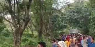 খড়্গপুর শহরে ঢুকে পড়ল হাতির দল, আতঙ্ক