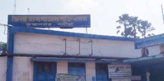 স্বামীর হাতে খুন স্ত্রী ও দিদা, গ্রেফতার অভিযুক্ত