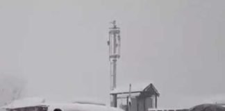 হিমাচলে তুষারপাতে মৃত ৪, বরফে মোড়া কুলু-মানালি-সিমলা