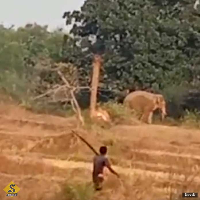 হাতির হানায় মৃত প্রৌঢ়, আহত মহিলা 
