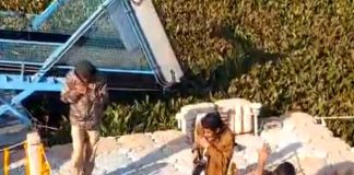 মৌমাছির ভয়ে অনুষ্ঠান ছেড়ে পালালেন জ্যোতিরাদিত্য
