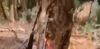 মণিপুরের অশান্তিতে মায়ানমারের অস্ত্র