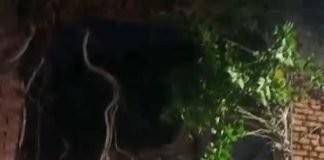 কালীঘাটে ভেঙে পড়ল পুরনো বাড়ির একাংশ