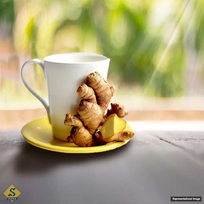 শীতে শরীর গরম রাখবে মসলা