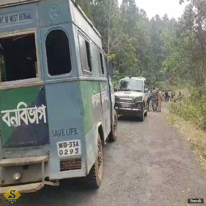 ঝাড়গ্রামে আতঙ্ক বাঘিনী যমুনা 