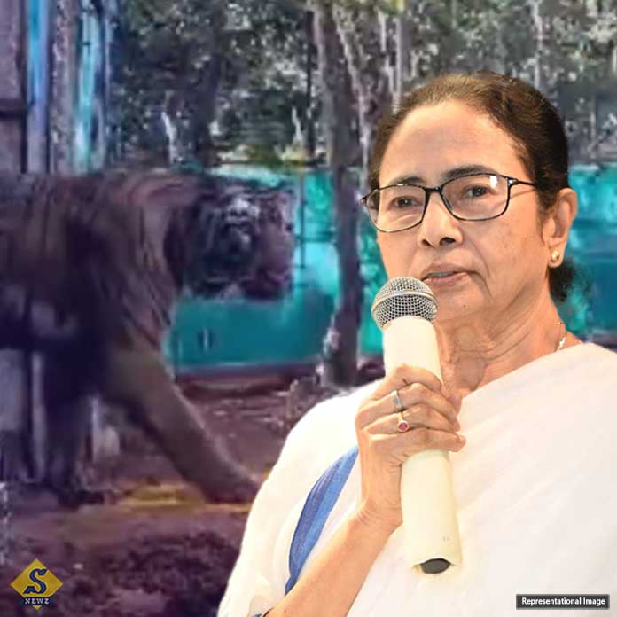 বাঘিনি জিনত সুস্থ রয়েছে, বললেন মুখ্যমন্ত্রী    