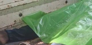 ধান আনতে যাওয়ার সময় ট্রাক্টর উল্টে মৃত ৩
