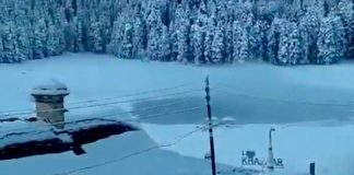 ন’রাজ্যে শৈত্যপ্রবাহ, উত্তরপ্রদেশে মৃত ৪