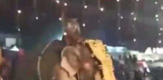 কেরলে হাতির তাণ্ডব, আহত ১৭ পূণ্যার্থী