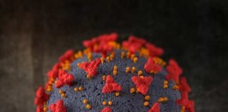 এইচএমপিভি : কাদের নিয়ে চিন্তা?