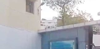 প্রাক্তন বিধায়কের বাড়িতে কুমির উদ্ধার আয়করের