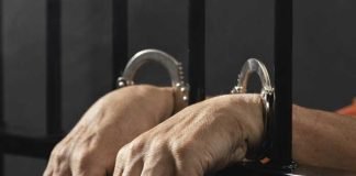 খরগোশকে লাথি মারায় জাপানি গ্রেপ্তার