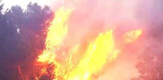 লস এঞ্জেলসে দাবানলে মৃত ৫, থমকে হলিউডের কাজ