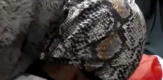 ইজরায়েলি হামলায় মৃত শিশুকন্যা, শেষ চুম্বন মায়ের